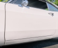 Impala-23