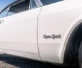 Impala-40