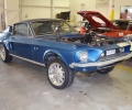 Shelby 2-20-17 (8)