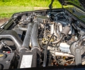 Ford-81