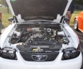 Cars-Coffee-8-30-25-13-1024x684