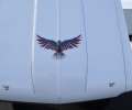 Cars-Coffee-8-30-25-36-1024x684