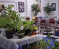 Ann Page Garden Club (4)