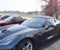 Battlefield Corvette Club 3-25-17 (8)