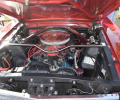 Cars-Coffee-5-27-23-14
