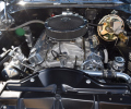 Cars-Coffee-5-27-23-44