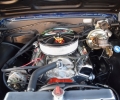 Cars-Coffee-7-30-22-16