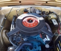 Cars-Coffee-7-30-22-29