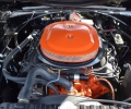 Cars-Coffee-7-30-22-59