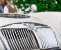 Cars-and-Coffee-13