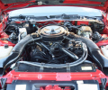 Cars-Coffee-9-28-24-15