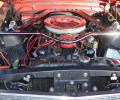 Cars-Coffee-9-28-24-19