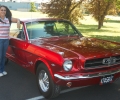1965Mustan 62