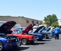 2017 Sheriff Show (12)