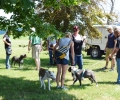 2017 Sheriff Show (9)